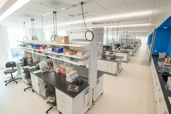Alcami lab at Cortex