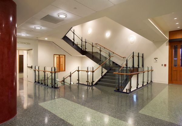 Washington University Seigle Hall Stairs