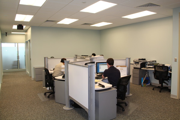 employees working a cubicles in office