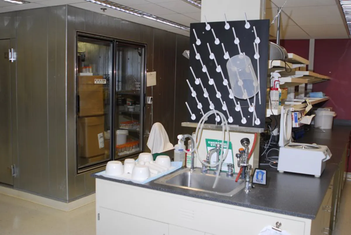Laboratory room with red accent wall
