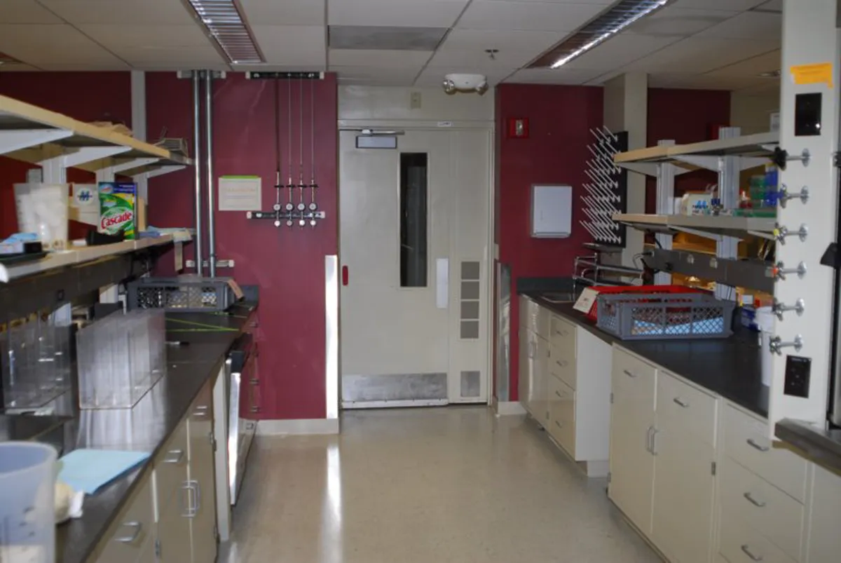 Laboratory room with red accent wall