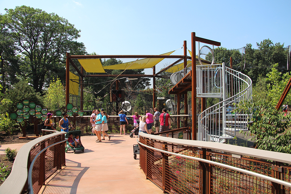 Outdoor pedestrian walkway and gathering space at zoo