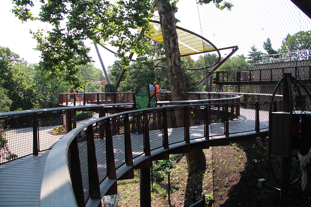 Curved pedestrian bridge or walkway in a park or recreational setting
