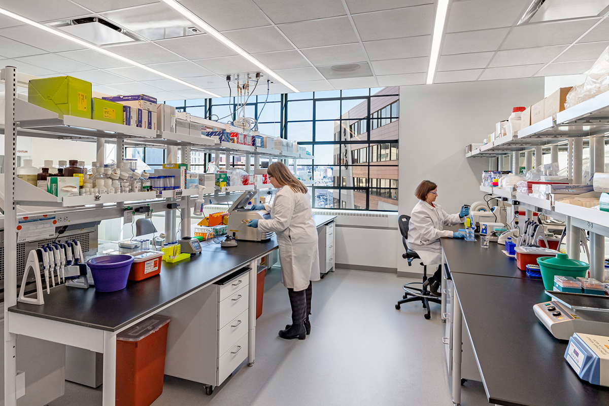 Modern lab white cabinetry and open floor plan