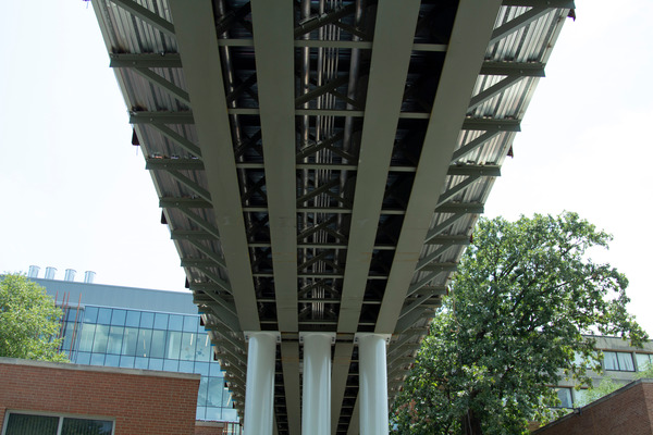 Underside view of a bridge or elevated structure surrounded by trees